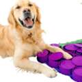 CAD 78,  Can A Grape Snuffle Mat Turn Mealtime Into Your Dog's Favorite Challenge?