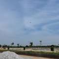 INR 35000,  150 Sq. Yard,  Premium Residential Plots In Adibatla Near TCS