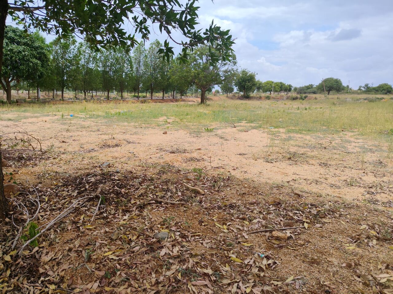 Hyderabad, Residential Plots, INR 13000,  183 Sq. Yard,  DTCP & RERA  FINAL APPROVED Open Plots For Sale @ Yacharam