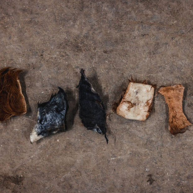 New York, Business, Premium Beef Dog Treats &ndash; Natural & Wholesome Rewards