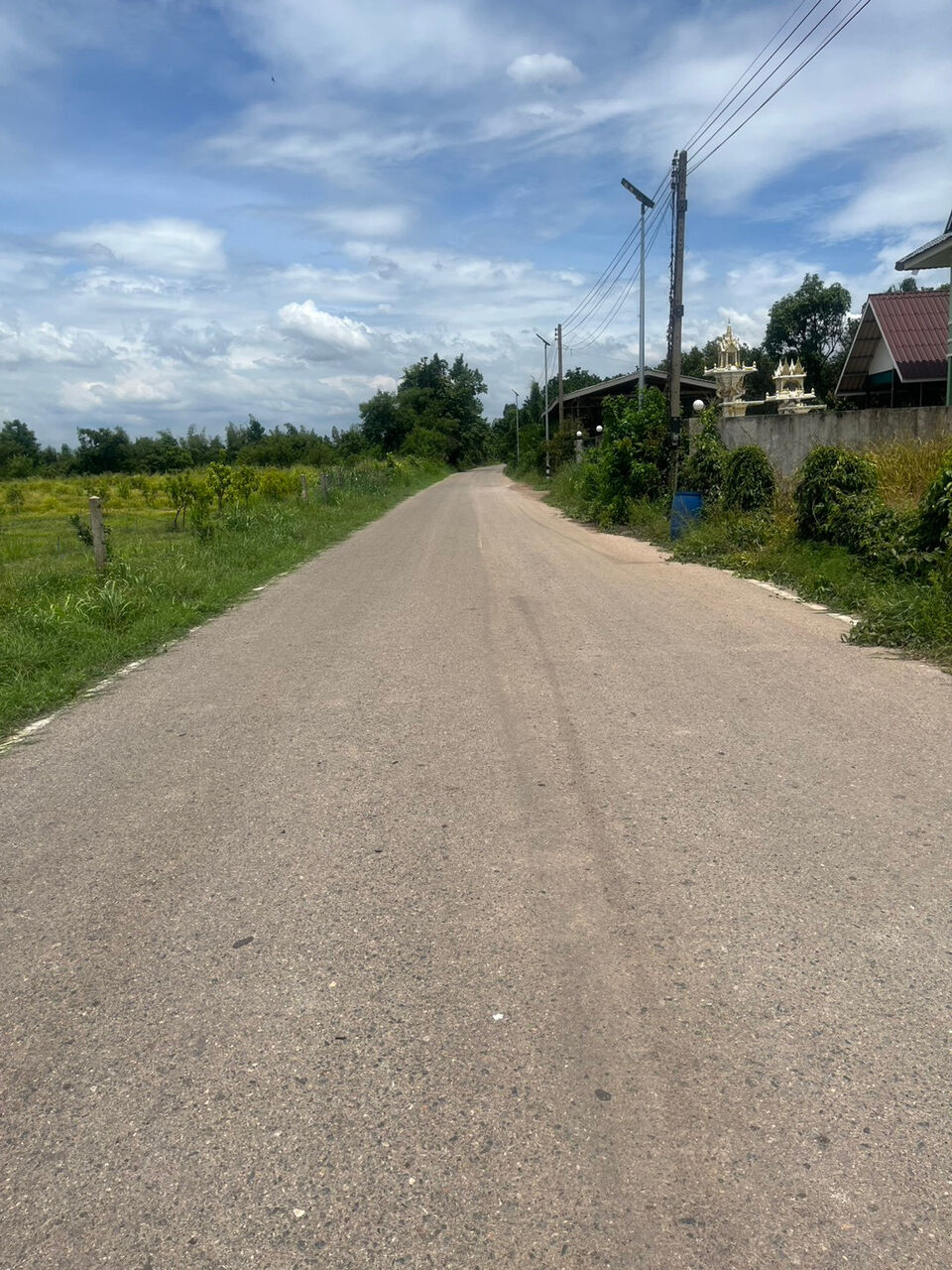 Bangkok, Real Estate For Sale, THB 25625000,  6 BR,  4100 Sq. Feet,  Pomelo Orchard For Sale, 10 Rai 1 Ngan, Si Maha Phot, Prachinburi Province, Orchard Ready