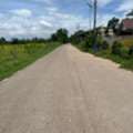 THB 25625000,  6 BR,  4100 Sq. Feet,  Pomelo Orchard For Sale, 10 Rai 1 Ngan, Si Maha Phot, Prachinburi Province, Orchard Ready