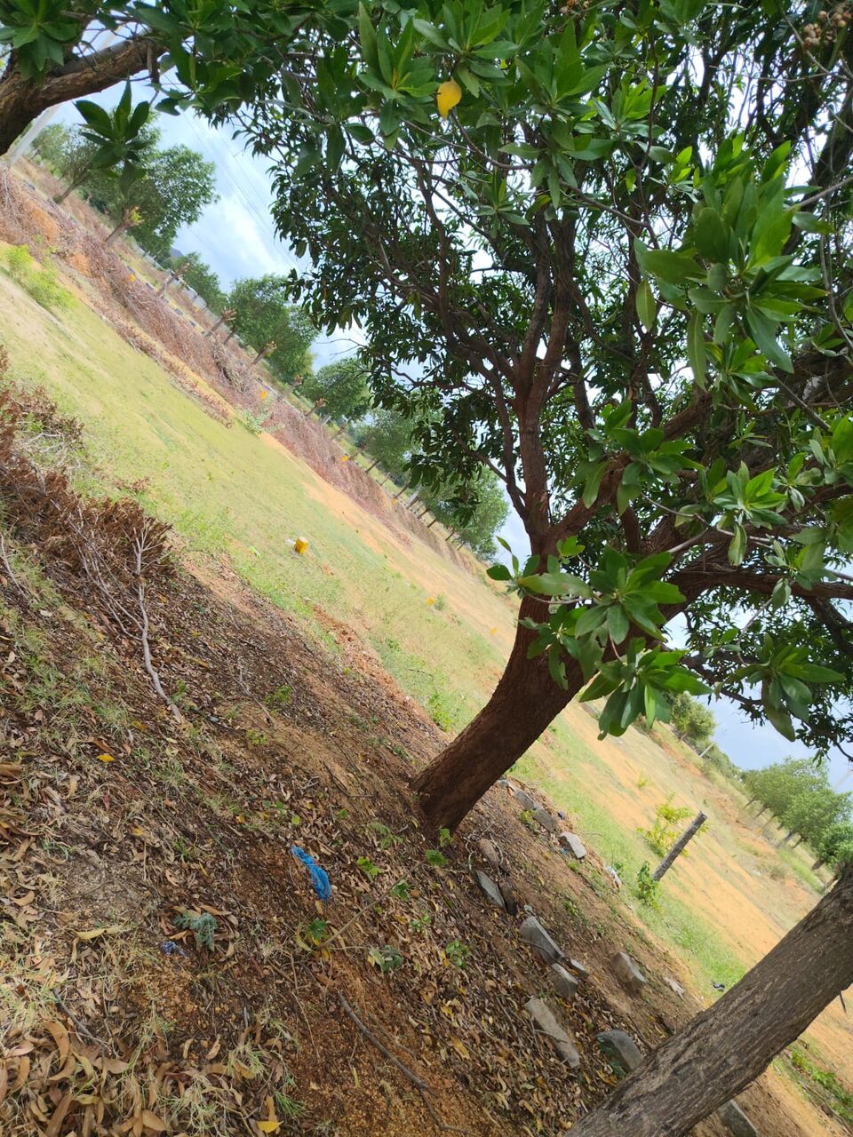 Hyderabad, Residential Plots, INR 13000,  184 Sq. Yard,  DTCP & RERA FINAL APPROVED Open Plots For Sale @ Yacharam