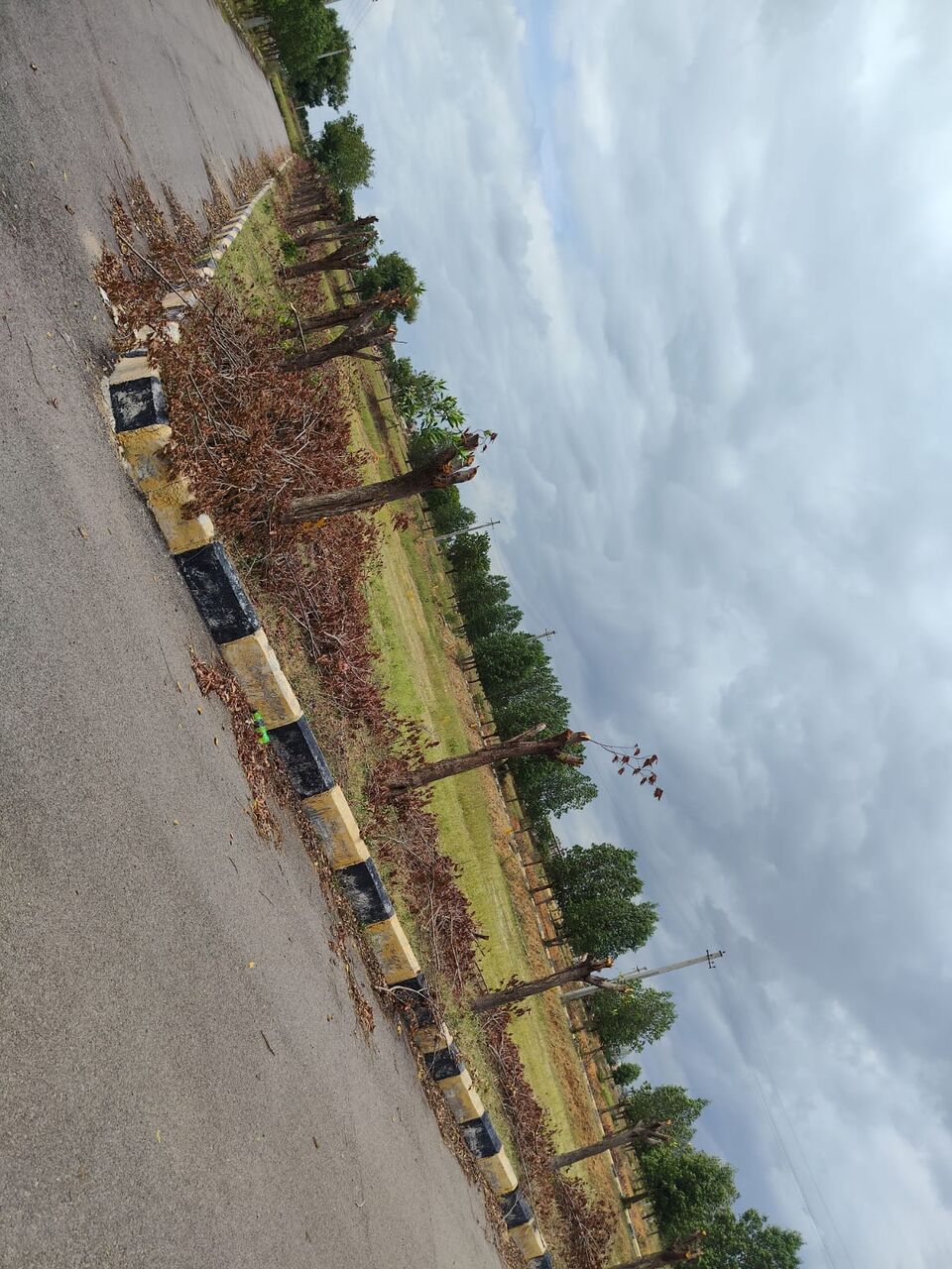 Hyderabad, Residential Plots, INR 13000,  221 Sq. Yard,  DTCP & RERA FINAL APPROVED Open Plots For Sale @ Yacharam
