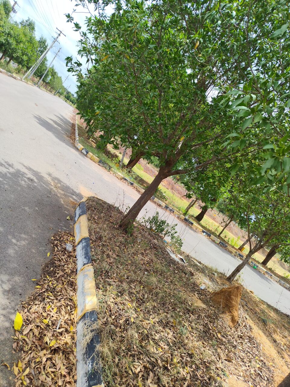 Hyderabad, Residential Plots, INR 13000,  185 Sq. Yard,  DTCP & RERA FINAL APPROVED Open Plots For Sale @ Yacharam