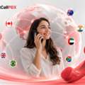 Need An Interactive Voice Response System For Better Customer Service?