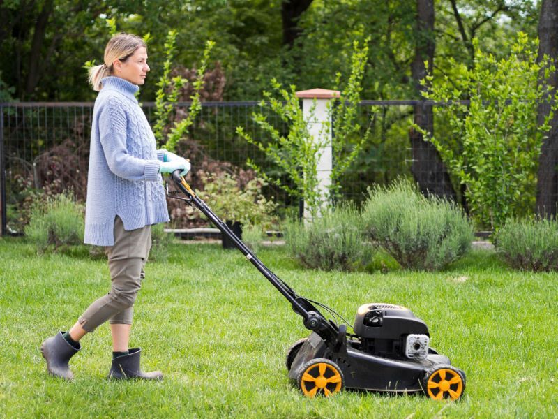 New York, Farm/Garden, Expert Lawn Care Services In Charlotte County For Every Property