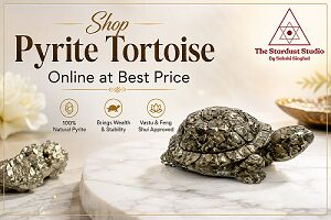 Gurgaon, Business, Shop Pyrite Tortoise Crystal Online At Best Price | The Stardust Studio