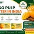 Mango Pulp Exporter In India | Alphonso, Kesar & Totapuri Mango Pulp
