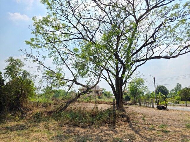 Bangkok, Villas, THB 14998,  143 Sq. Feet,  Pracha Samran, Land Already Filled, Nong Chok, Mitmaitri, Makro, Liap Wari 1.84 Km., 143
