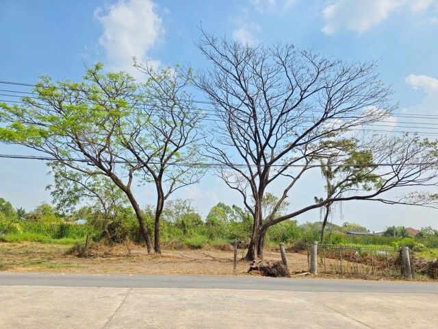 Bangkok, Villas, THB 14999,  143 Sq. Feet,  Mitmaitri Makro Liapwaree 1.84 Km. Pracha Samran Land Already Filled In Nong Chok
