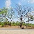 THB 14999,  143 Sq. Feet,  Mitmaitri Makro Liapwaree 1.84 Km. Pracha Samran Land Already Filled In Nong Chok