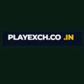 Playexch &ndash; Simple Online Sports Platform Guide