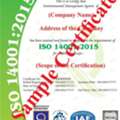 AQC World: Your Trusted Partner For ISO 14001 Certification Process