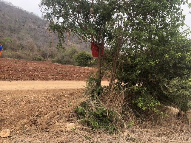 Bangkok, Real Estate For Sale, THB 300000,  6 BR,  2130 Sq. Feet,  Beautiful View, Great Location, Perfect Soil. Located In The City Of Nakhon Sawan, Next