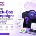 Auditing A Black-Box Campaign: How To Reverse-Engineer What Google's AI Is Actually Doing