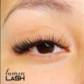 Best Lash Extensions Sugar Land Tx For Beautiful Eyes