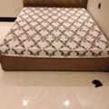 SAR 1,  Single Medium And King Size Beds Available
