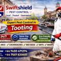 Fast & Reliable Pest Control Service Near Tooting &ndash; Same-Day Experts