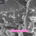 Exploring The Future Of Ampcera Sulfide Electrolyte Technology