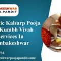 Authentic Kalsarp Pooja And Kumbh Vivah Services In Trimbakeshwar