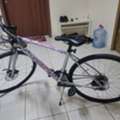 SAR 1000,  Cycle