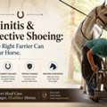 Laminitis & Corrective Shoeing | Expert Farrier Northern Indiana
