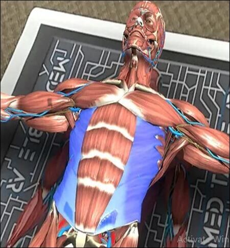New York, Education, Augmented Reality Tools For Anatomy Education