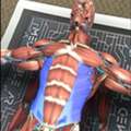 Augmented Reality Tools For Anatomy Education