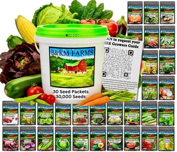 New York, Business, Heirloom Seed Packets | Bulk Heirloom Seeds On Sale