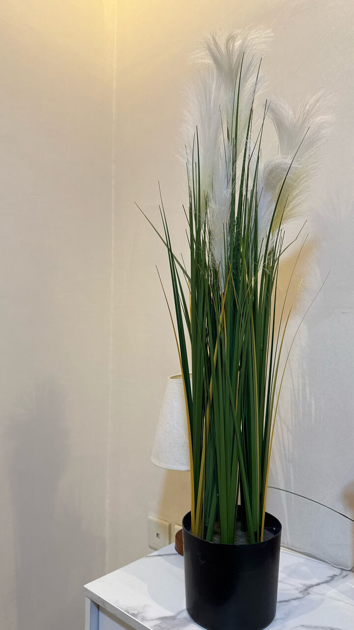 Jeddah, Household Items, SAR 180,  Artificial Decorative Plant