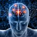 USD 49,  IMPROVE YOUR BRAIN HEALTH
