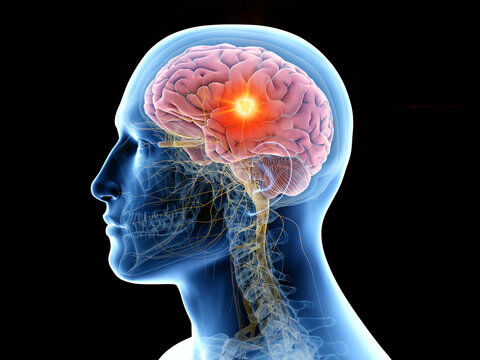 New York, Health & Beauty Items, USD 49,  IMPROVE YOUR BRAIN HEALTH