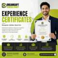 Best Experience Certificate Provider In India