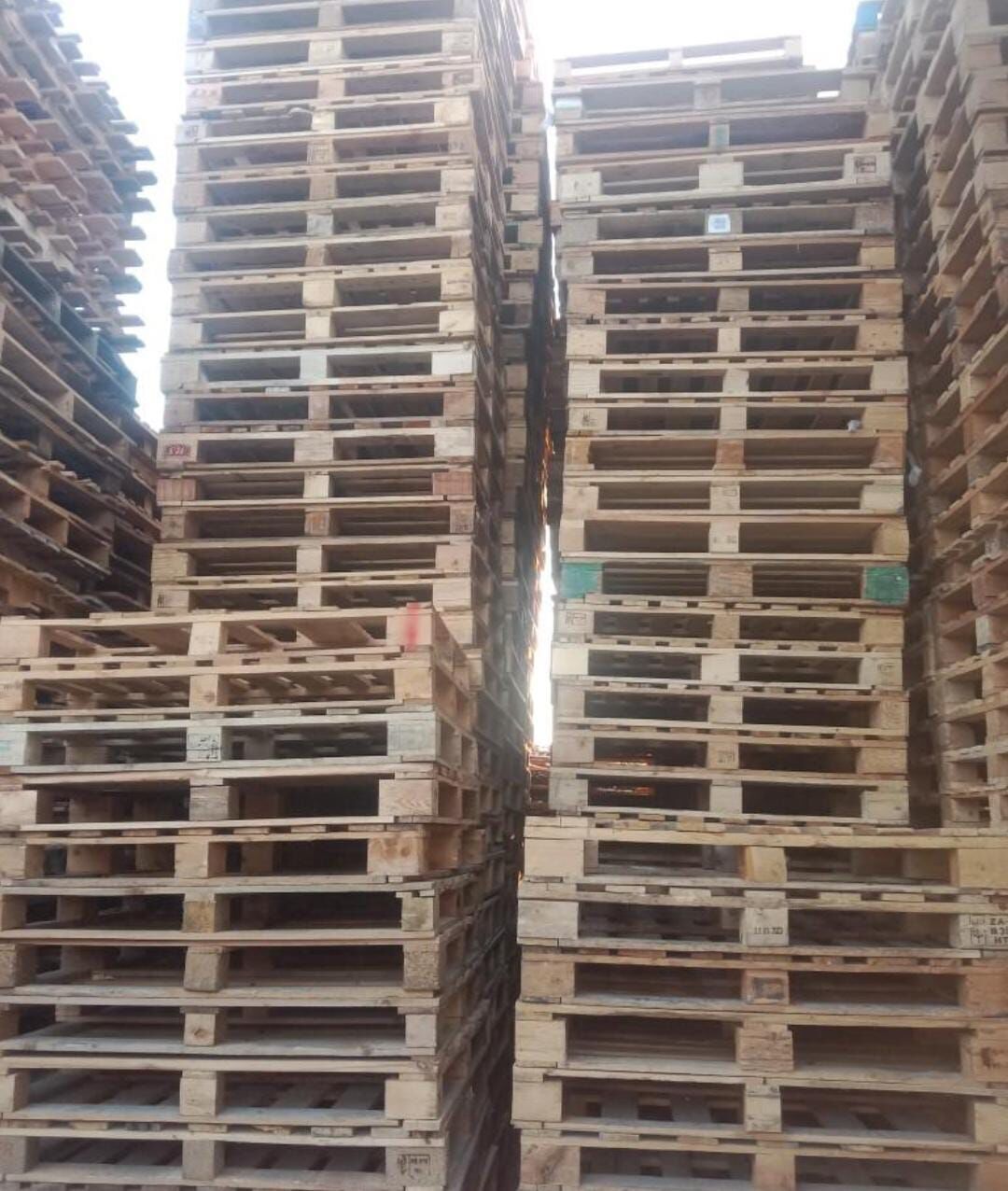 Dammam, Appliances, Wooden Pallets