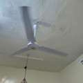 SAR 50,  Ceiling Fan(120V)
