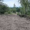 THB 250000,  6 BR,  14400 Sq. Feet,  Next To Highway 1107 Excellent Location, Ban Tak, Tak Province, Convenient
