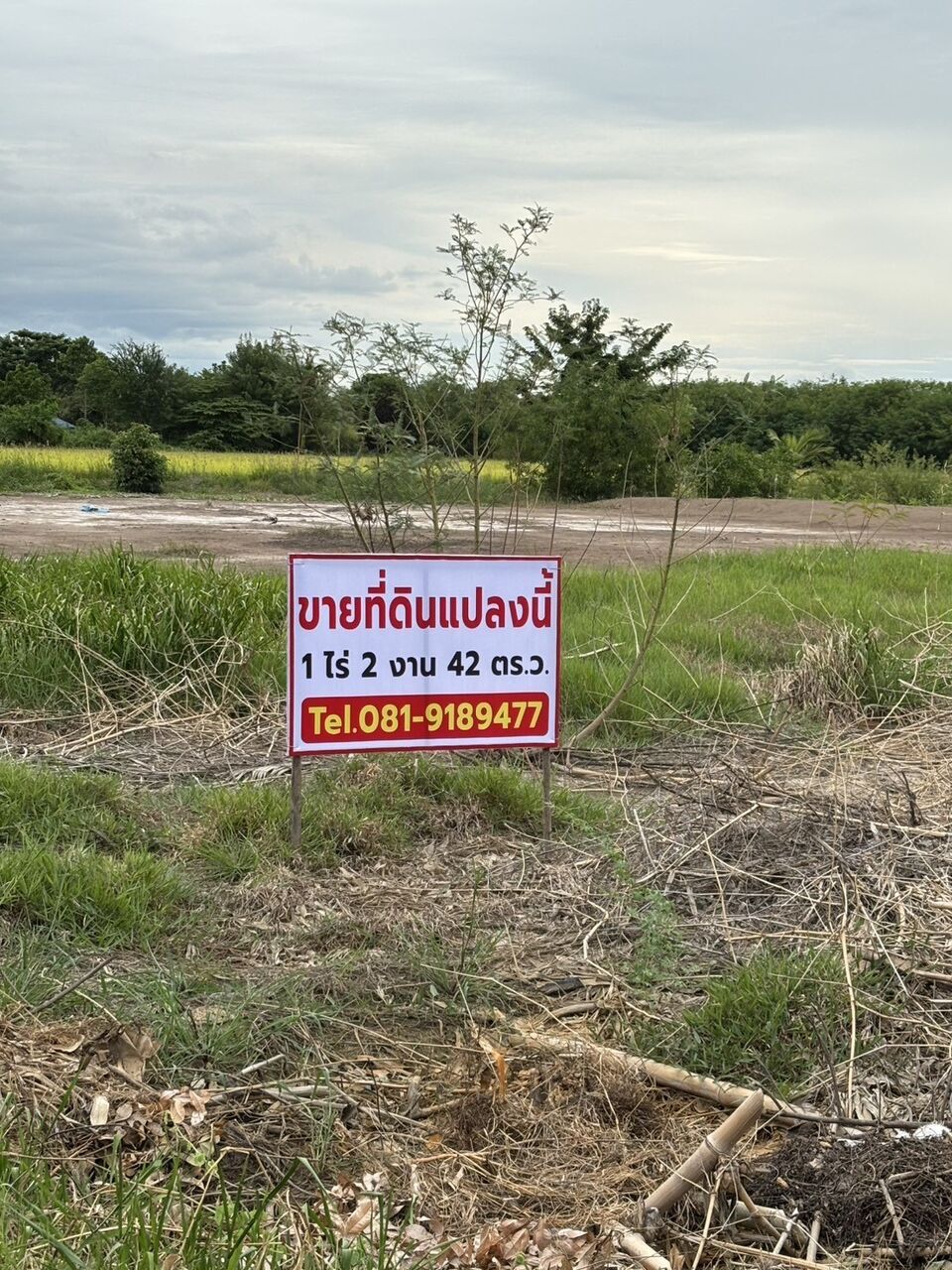 Bangkok, Real Estate For Sale, THB 1800000,  6 BR,  642 Sq. Feet,  Land For Sale Already Filled The Owner Is Selling It Himself.  Good Location Next To Soi
