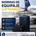 ¿Qué Requisitos Debe Cumplir Tu Equipaje En Lufthansa?