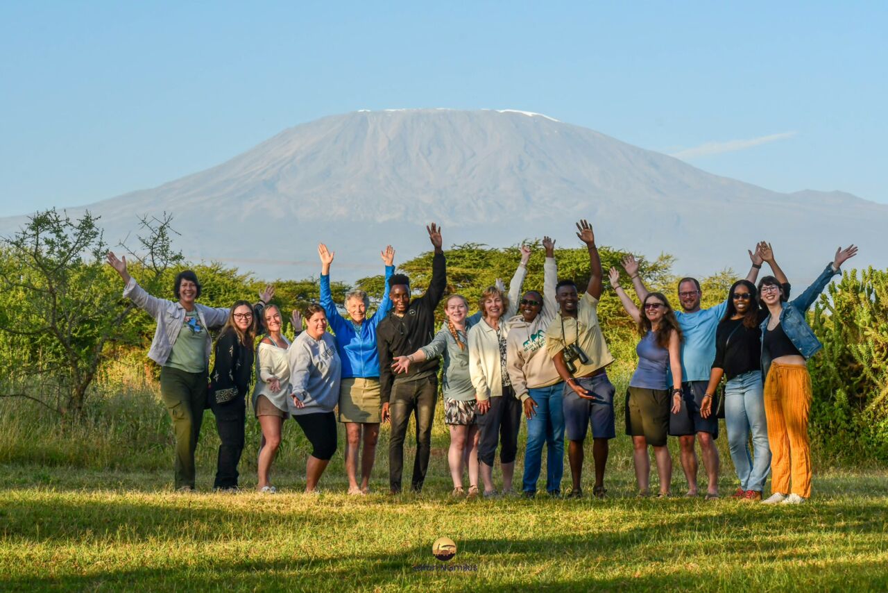 New York, Business, Safari N Smiles Organization