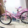 SAR 200,  21-inch Bicycle -single-speed (no Gear)/ No Mechanic Needed.
