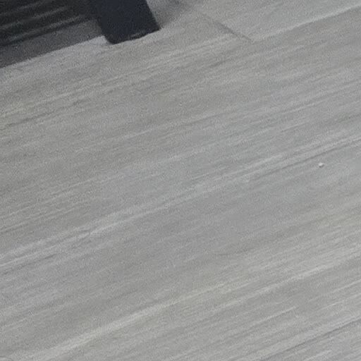 Dammam, Pet Supplies, SAR 250,  Cockatiel Birds Available For Sale