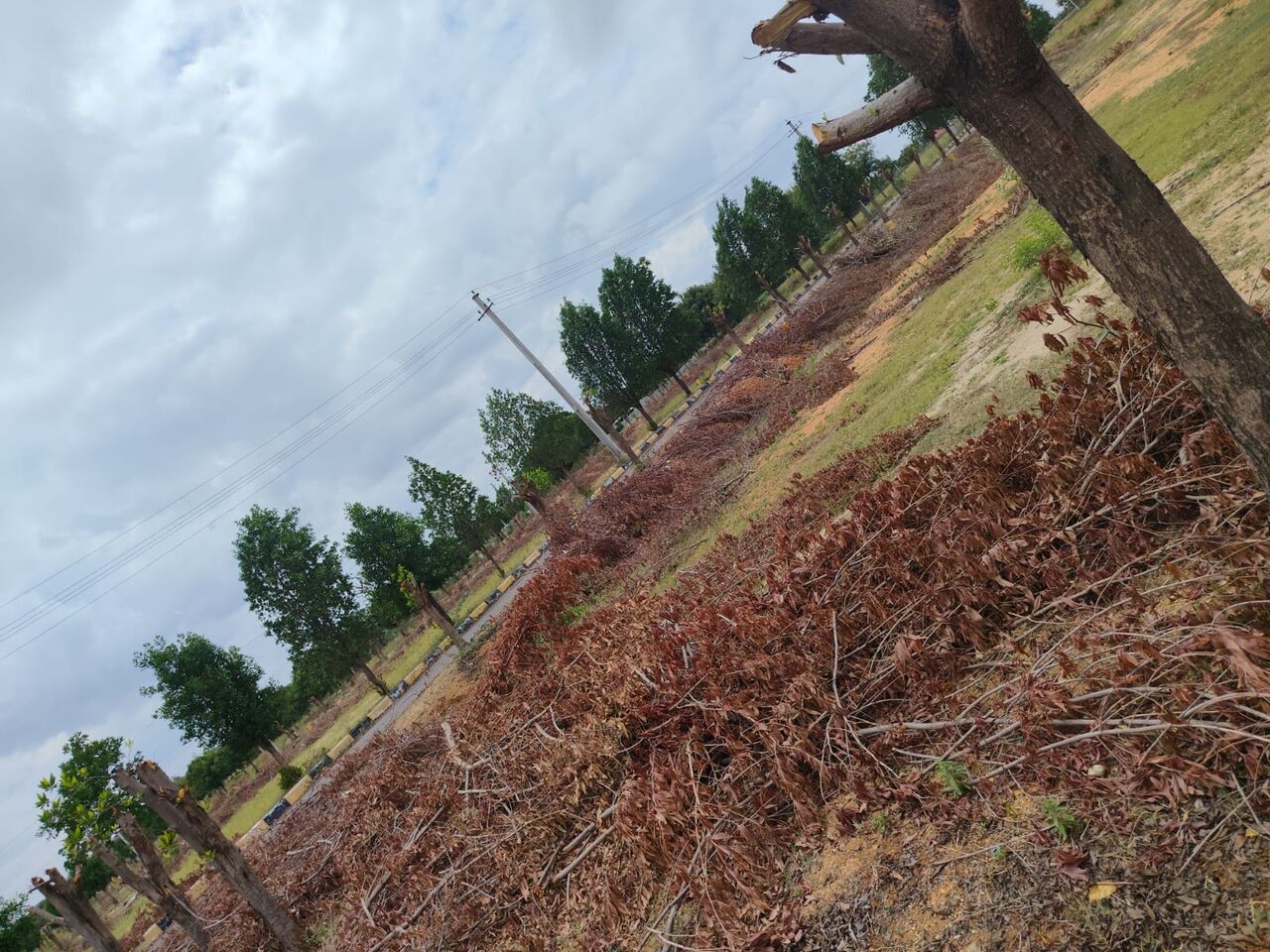 Hyderabad, Residential Plots, INR 13000,  184 Sq. Yard,  DTCP & RERA FINAL APPROVED Open Plots For Sale @ Yacharam
