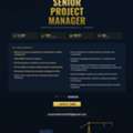 Senior Project Manager &ndash; Construction