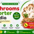Mushrooms Exporter In India &ndash; GLEE IMPEX