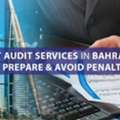 Audit & Accounting Support - Special Price - Limited Time Offer