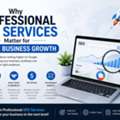 Why Professional SEO Services Matter For Online Business Growth