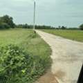 THB 990000,  6 BR,  800 Sq. Feet,  Empty Land For Sale, Area 2 Rai, Suitable For A Garden House. Very Good Atmosphere, Ban