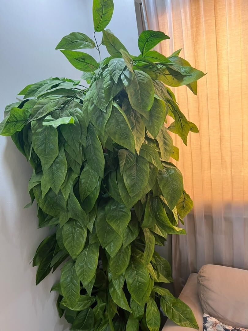 Dammam, Furniture, SAR 250,  Tree For Decoration