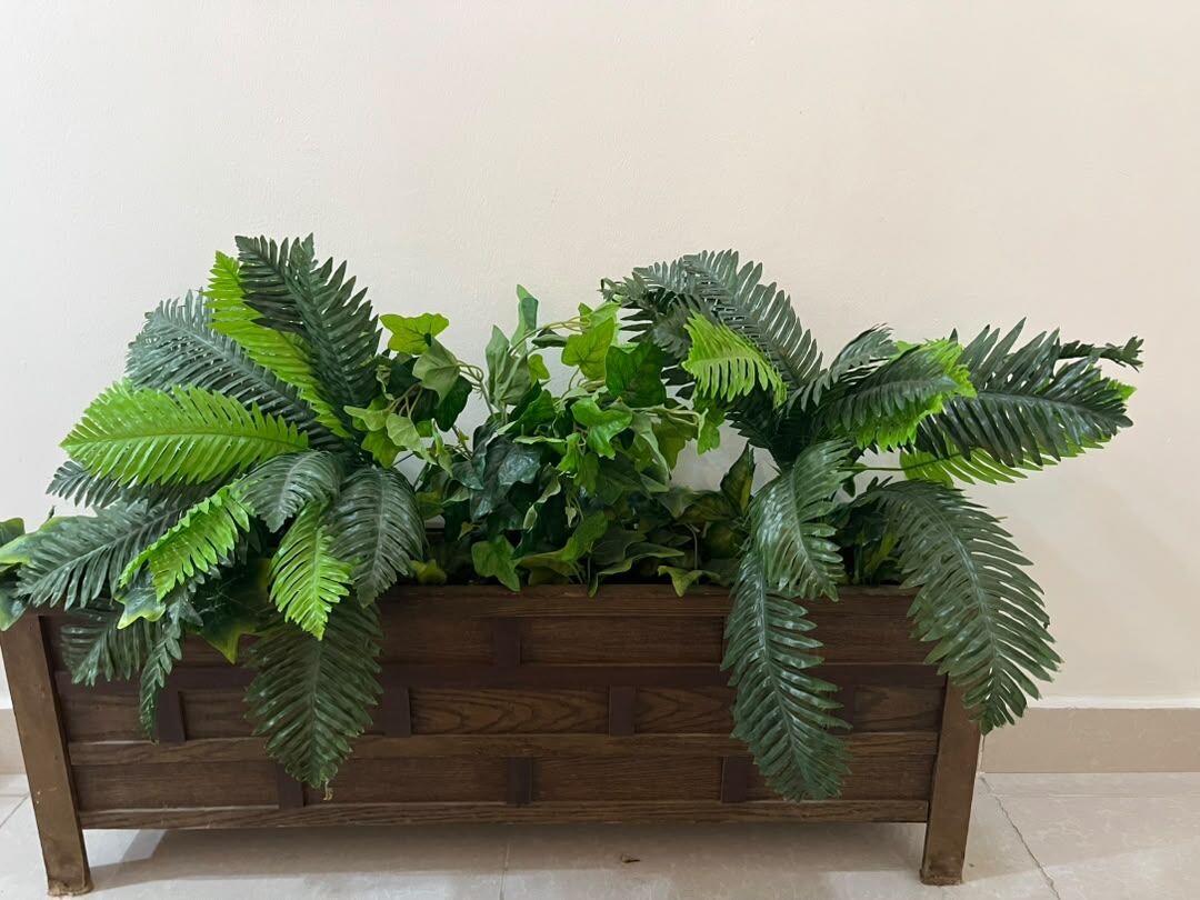 Dammam, Furniture, SAR 250,  Tree For Decoration